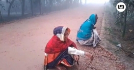 চাবাগান শ্রমিকরা শীতের দাপটে মানবেতর জীবনযাত্রা